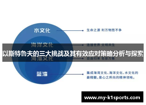 以斯特鲁夫的三大挑战及其有效应对策略分析与探索
