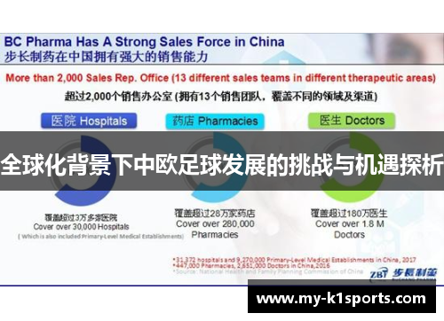 全球化背景下中欧足球发展的挑战与机遇探析
