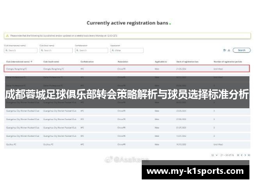 成都蓉城足球俱乐部转会策略解析与球员选择标准分析