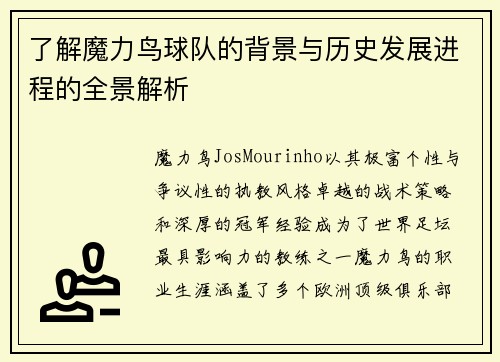 了解魔力鸟球队的背景与历史发展进程的全景解析