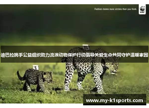 迪巴拉携手公益组织助力流浪动物保护行动倡导关爱生命共同守护温暖家园 迪巴拉携手公益组织助力流浪动物保护行动倡导关爱生命共同守护温暖家园